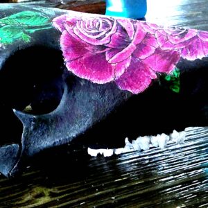 Rose Tinted Javelina