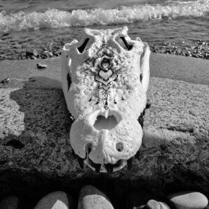 Water Bearer Croc