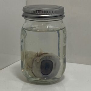 Goat Eye