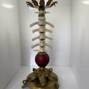 Spinedelabrum 2
