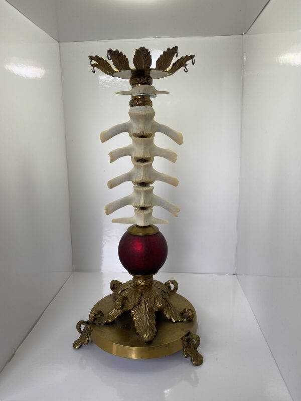 Spinedelabrum 2