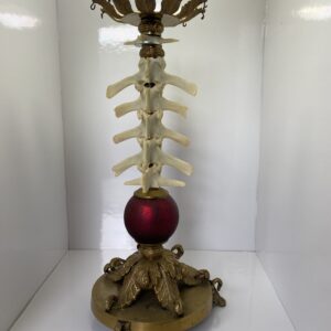 Spinedelabrum 2 - Image 2
