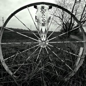 The Wheel Cow