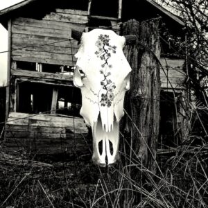 Death Cow
